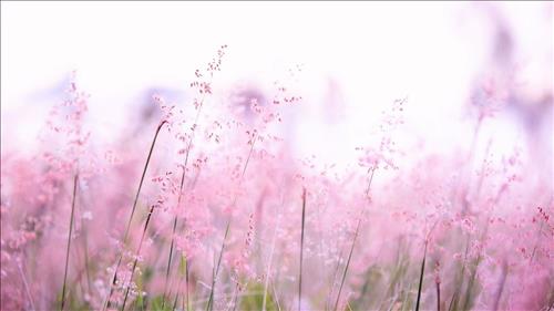 Tim một nơi bình yên